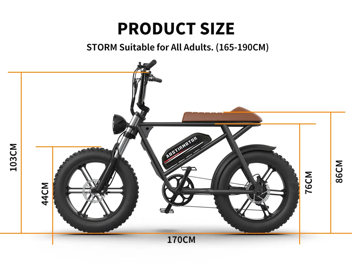 Aostirmotor Storm 750W 48V Fat Tire Electric Bike