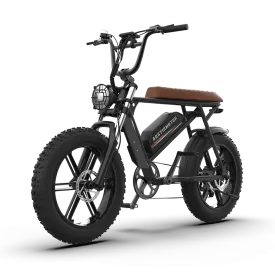 Aostirmotor Storm 750W 48V Fat Tire Electric Bike