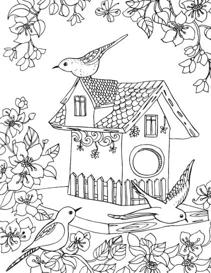 Dreamland Publications Countryside- Colouring Book For Adults