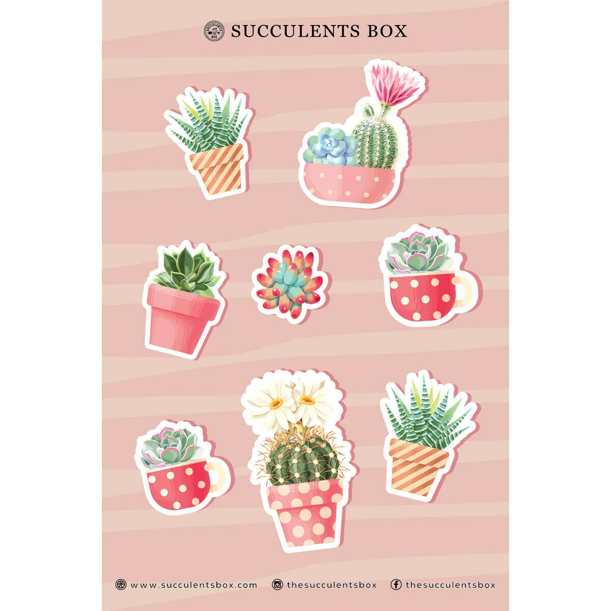 Pink Pastel Succulent Stickers