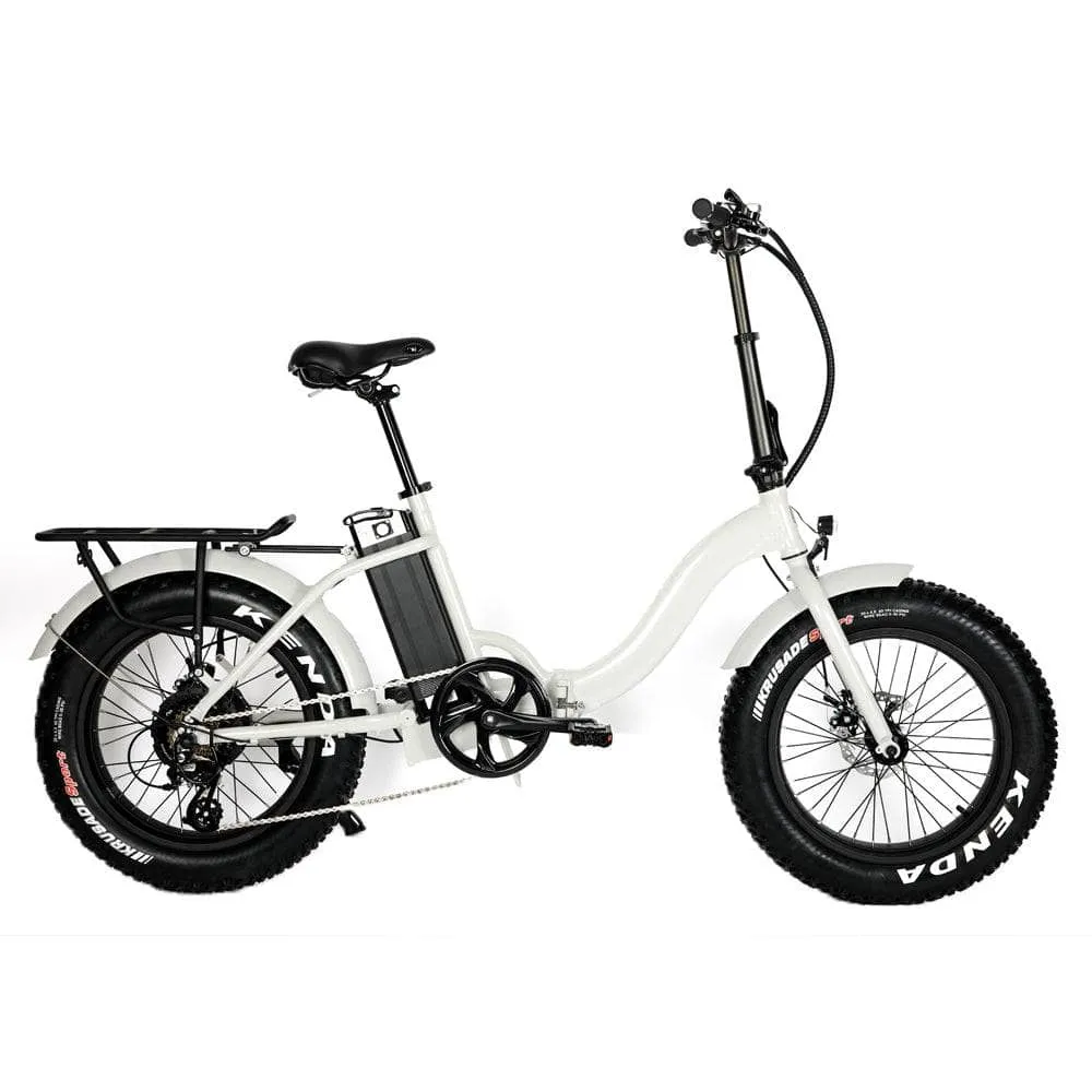 The Eunorau 20" Fat Tire Model E-FAT-STEP E-Bike