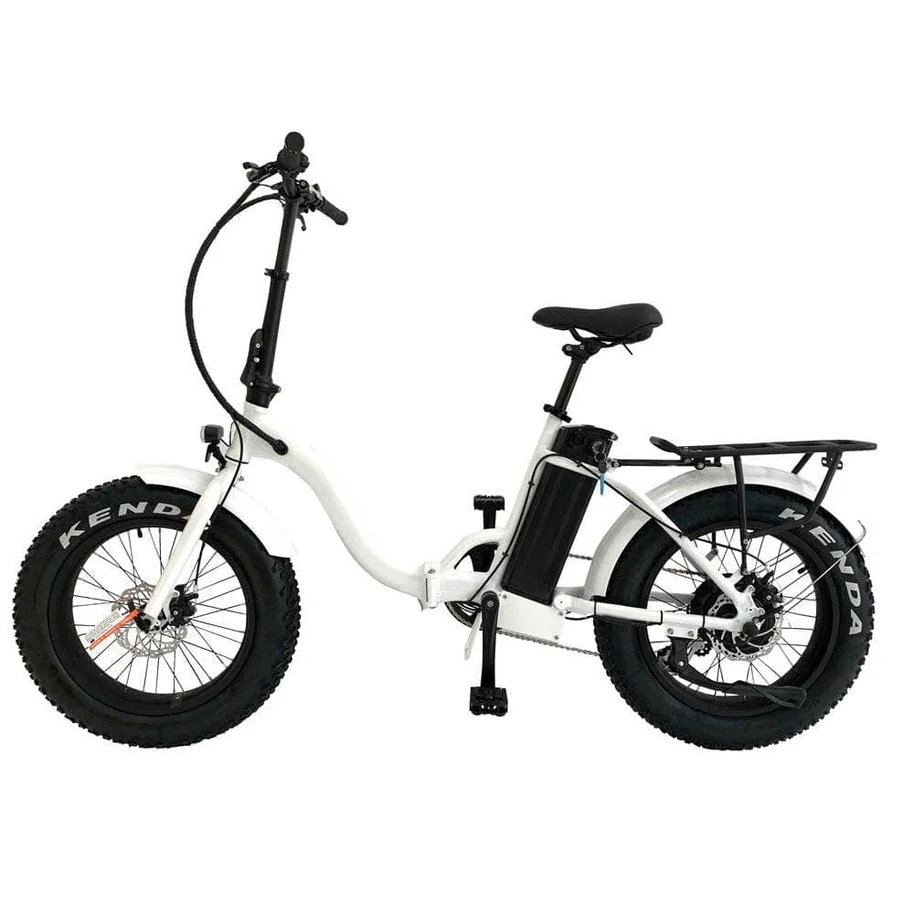 The Eunorau 20" Fat Tire Model E-FAT-STEP E-Bike